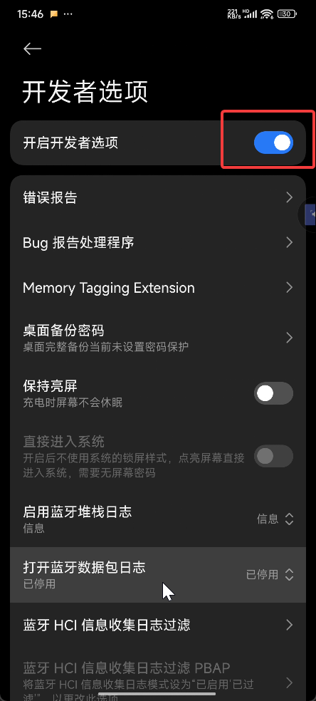 开启开发者选项开关